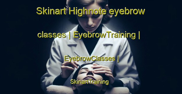 Skinart Highnote eyebrow classes | EyebrowTraining | EyebrowClasses | SkinartTraining-United States